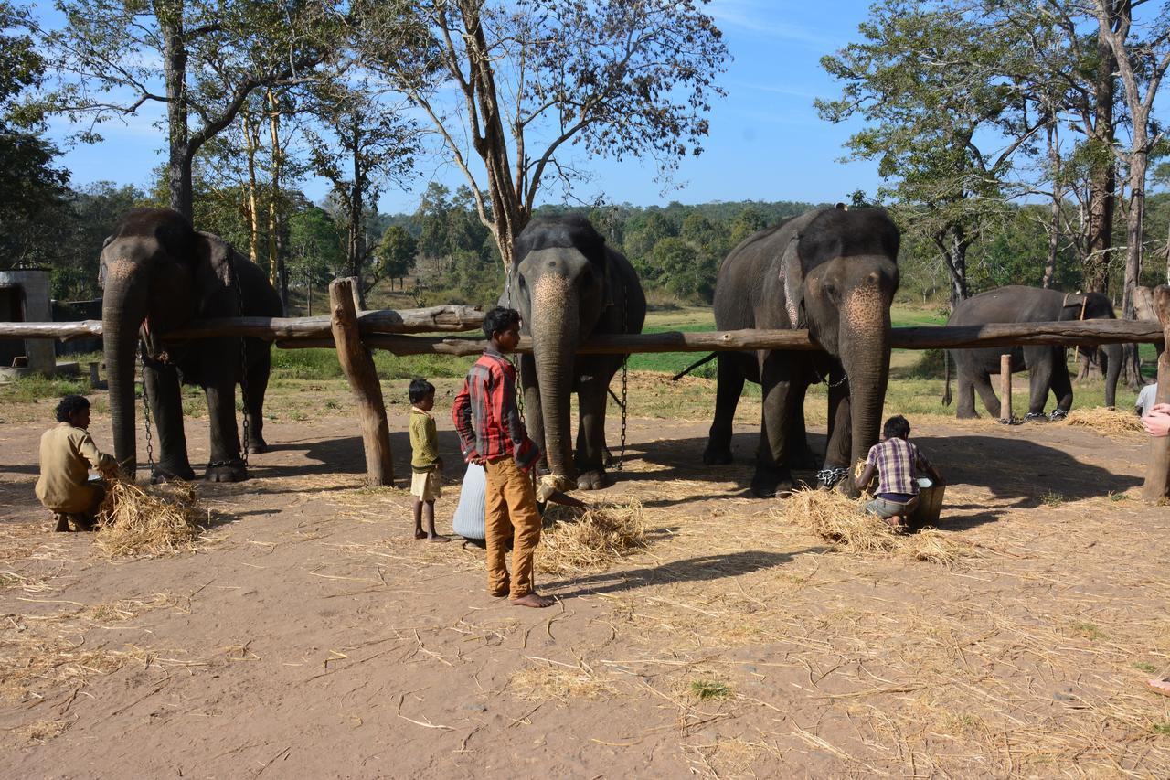 Red Earth Kabini Begūr Екстериор снимка