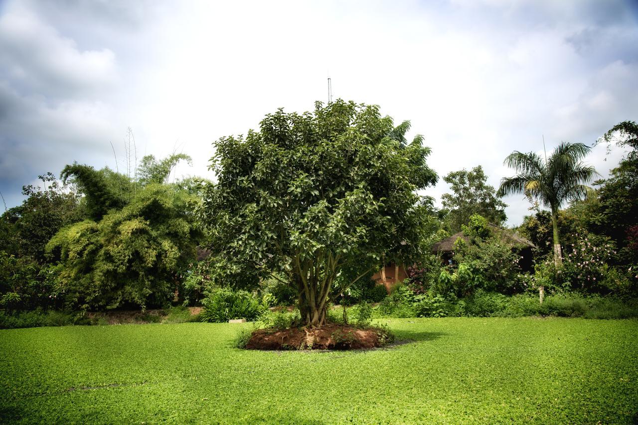 Red Earth Kabini Begūr Екстериор снимка